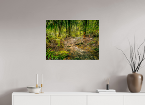 The National Forest of El Yunque