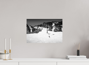 Aspen in Black and White