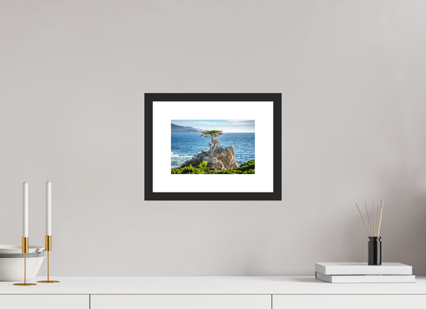 The Lone Cypress