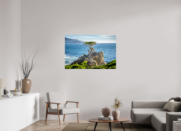 The Lone Cypress