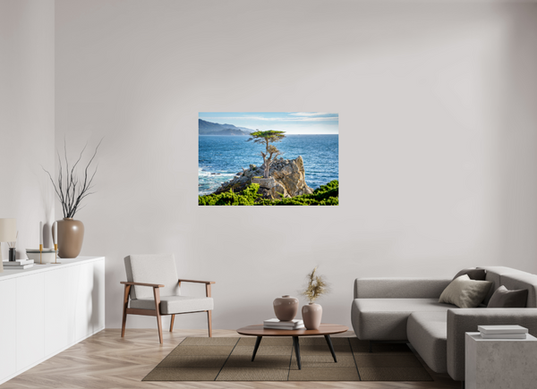 The Lone Cypress