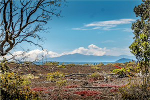 Explore the beauty of A Volcanic Landscape on the Big Island, showcasing its iconic volcanoes and unique terrain.