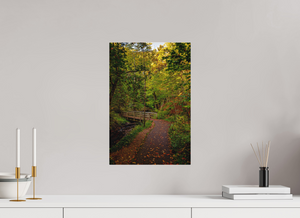 Bridge through the Forest