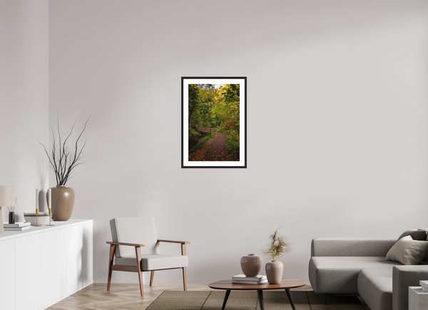 Bridge through the Forest