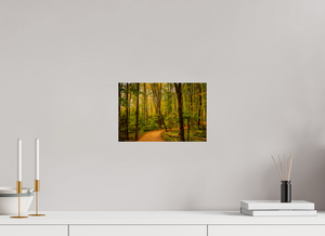 Path to Least Resistance