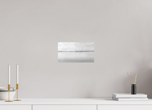 Swans on a Frozen River