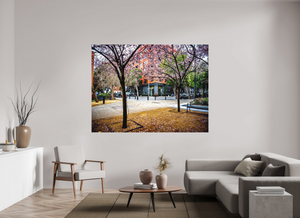 Blossoms Between the Blocks - Large Print showcases vibrant trees in San Francisco's Embarcadero area.