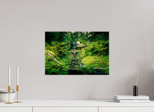 Falling through the Forest