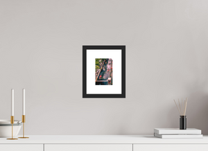 Starting Grid at 2022 Monaco GP