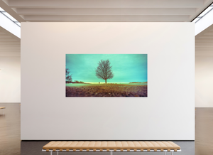 Steadfast in the Wind - Large Print