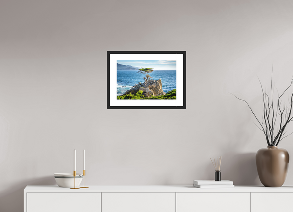 The Lone Cypress