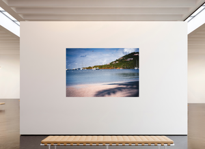 Pelicans Feeding - Large Print