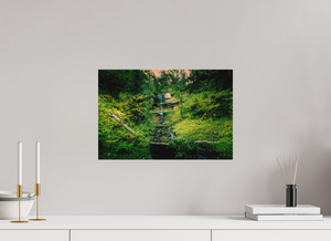 Falling through the Forest