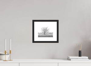 Winter Sentinel of Grand Haven