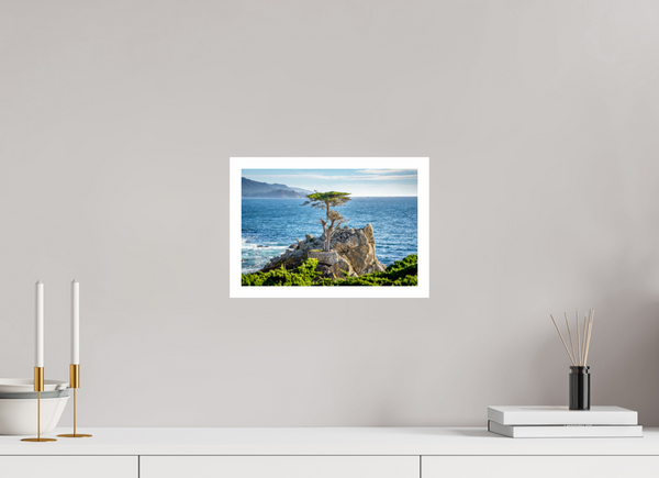 The Lone Cypress