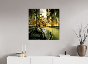 View from the Gondola