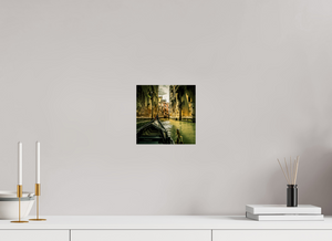 View from the Gondola