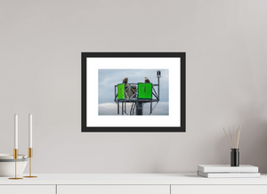 Eagles Standing Watch in Alaska