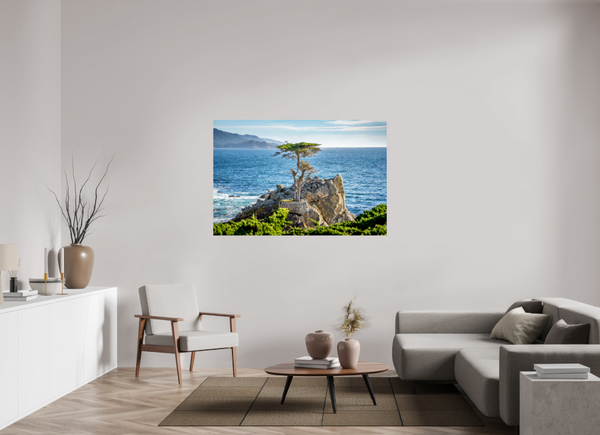 The Lone Cypress
