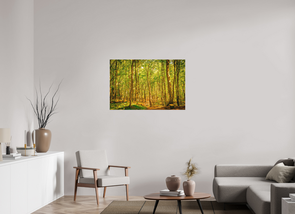 Trees in the Forest