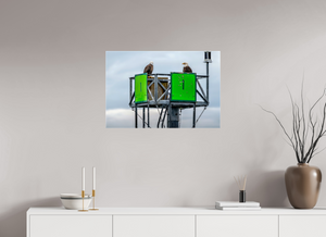 Eagles Standing Watch in Alaska