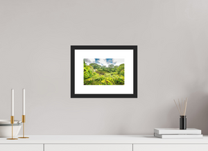 Rainbow Falls Hawaii