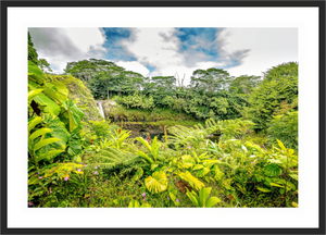 Rainbow Falls Hawaii