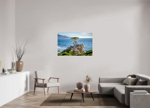 The Lone Cypress