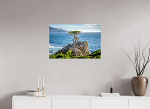 The Lone Cypress stands resilient on a rocky shore, embodying strength against the ocean's beauty.