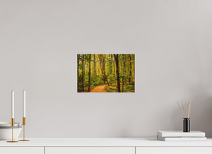 Path to Least Resistance