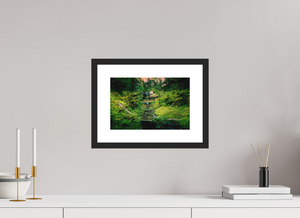 Falling through the Forest