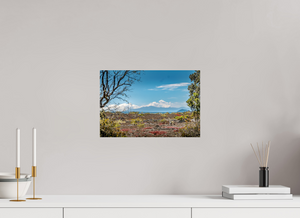 Explore A Volcanic Landscape featuring the stunning beauty of Hawaii's Big Island volcanoes and unique terrain.