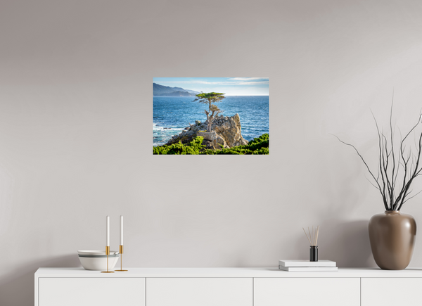 The Lone Cypress