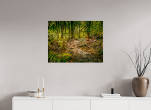 The National Forest of El Yunque