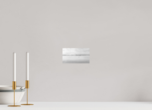 Swans on a Frozen River