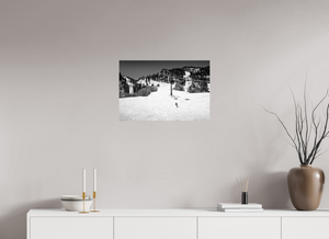 Aspen in Black and White