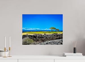 The Iconic Par-3, No. 17 at Hualalai