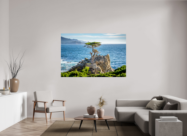 The Lone Cypress