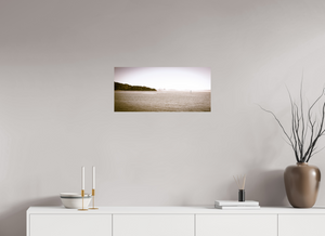 San Francisco Skyline