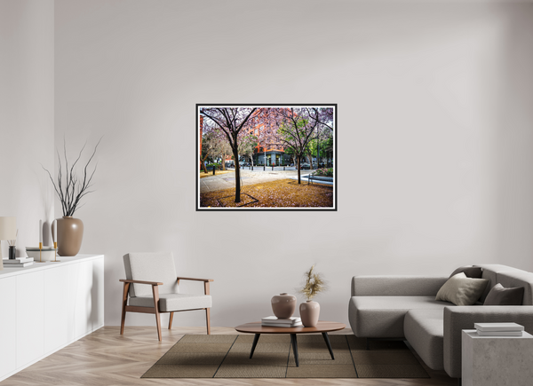 Blossoms Between the Blocks - Large Print