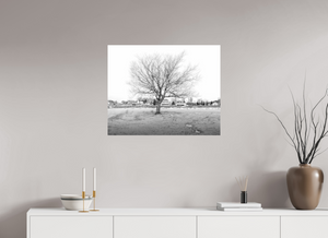 Winter Sentinel of Grand Haven