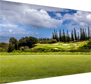 Par 3 at Kapalua - The Plantation Course, showcasing lush greens and scenic Maui views. Perfect for golf enthusiasts!