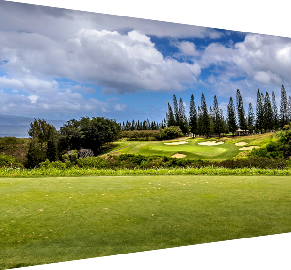 Par 3 at Kapalua - The Plantation Course, showcasing lush greens and scenic Maui views. Perfect for golf enthusiasts!