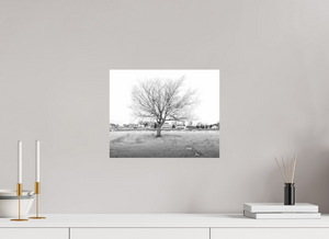 Winter Sentinel of Grand Haven