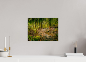 The National Forest of El Yunque