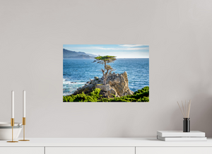 The Lone Cypress