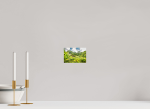 Rainbow Falls Hawaii