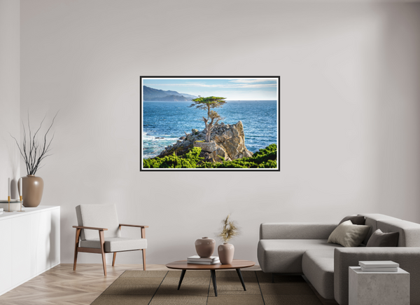 The Lone Cypress