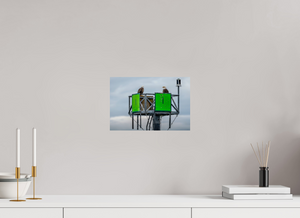 Eagles Standing Watch in Alaska