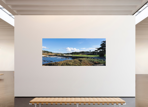 Cypress from 17-mile Drive - Large Print